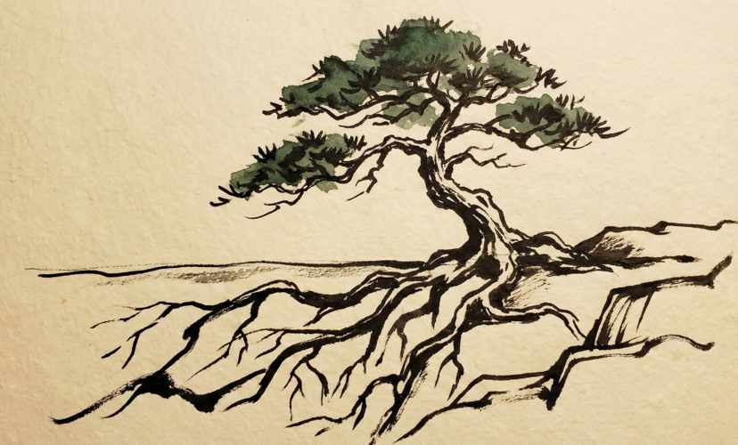 How the Wyoming Qualified Spendthrift Trust Protects Your Assets